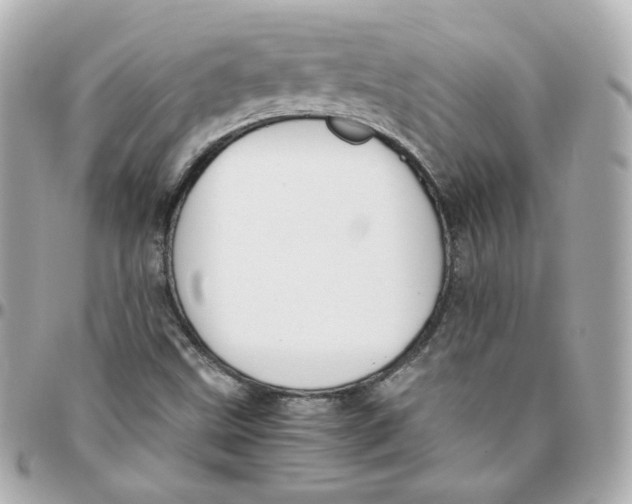 X0000095891499200802011055