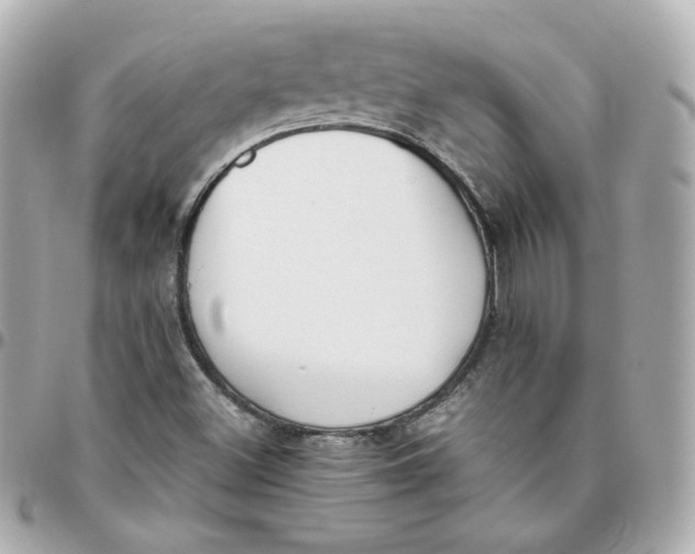 X0000095891500200802011055