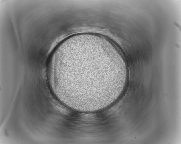 X0000095891501200802011055