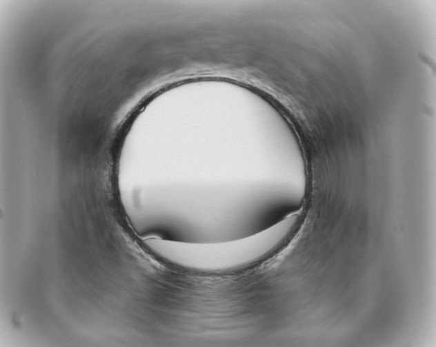 X0000095891502200802011055