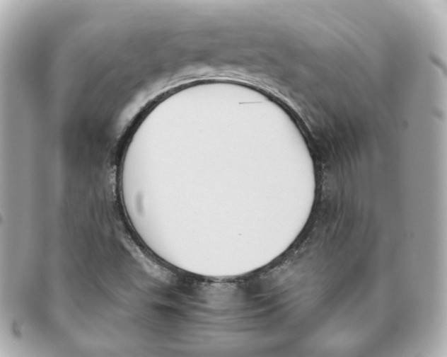 X0000095891503200802011055