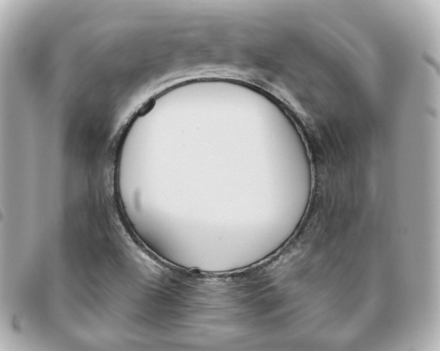 X0000095891504200802011055