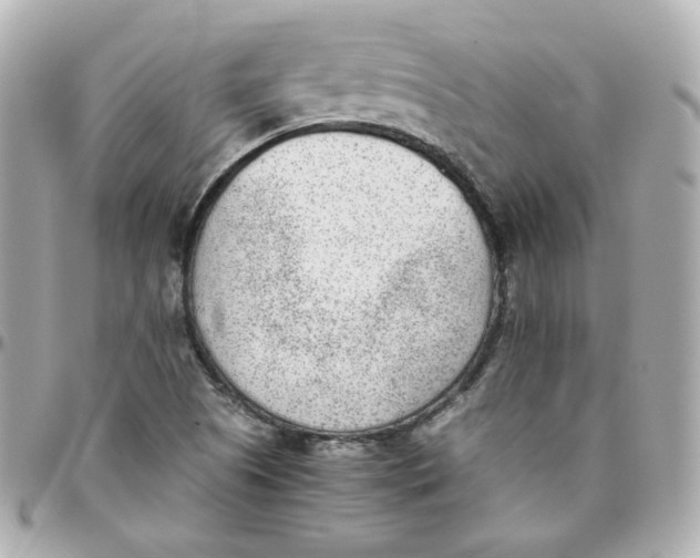 X0000095891505200802011055