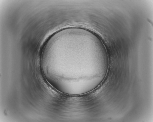 X0000095891506200802011055