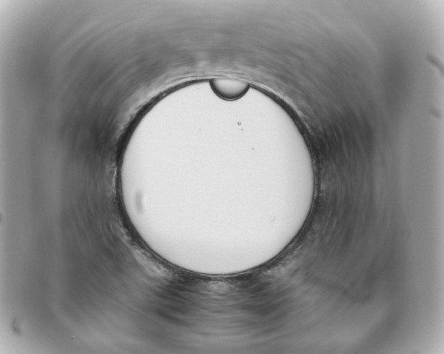 X0000095891507200802011055