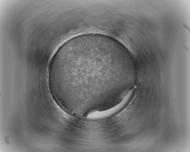 X0000095891508200802011055