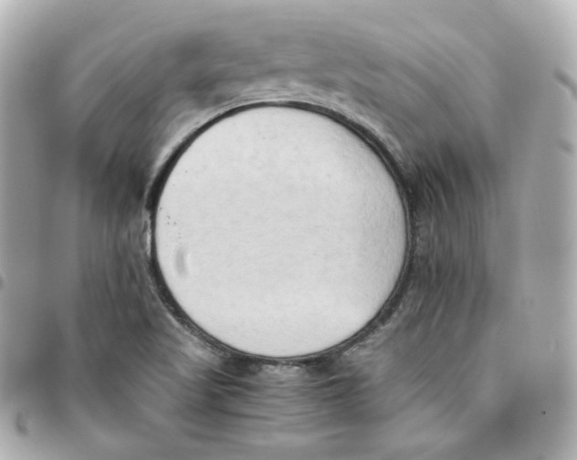 X0000095891509200802011055