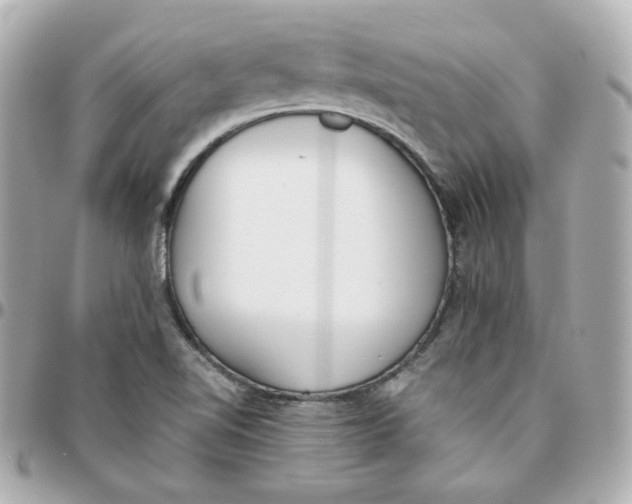 X0000095891510200802011055