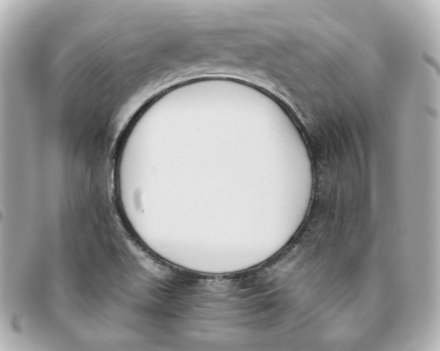 X0000095891511200802011055