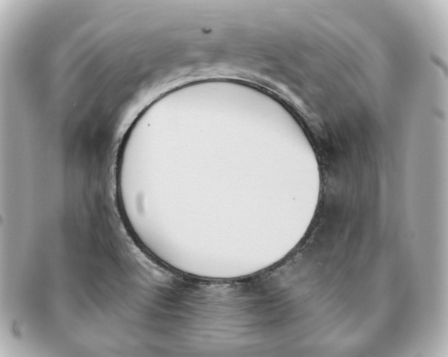 X0000095891512200802011055