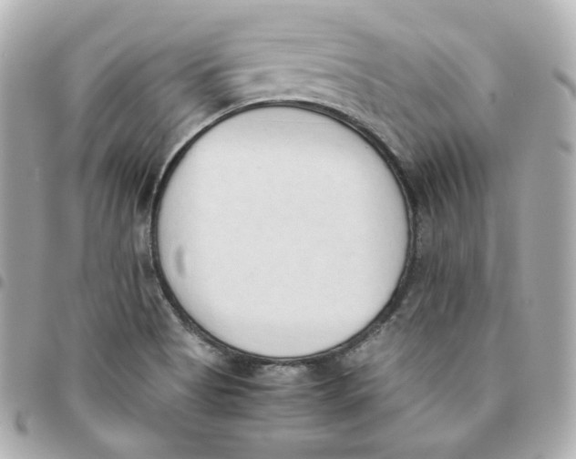 X0000095891513200802011055