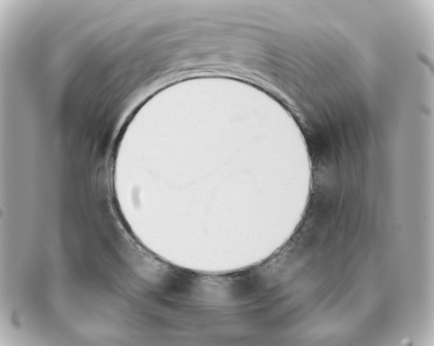 X0000095891514200802011055