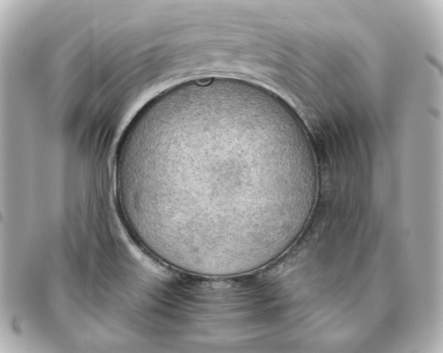 X0000095891515200802011055