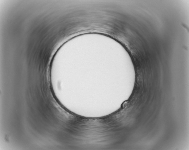 X0000095891516200802011055