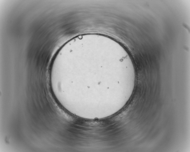 X0000095891517200802011055