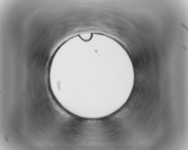 X0000095891518200802011055