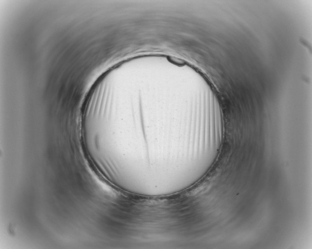 X0000095891519200802011055