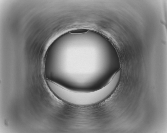 X0000095891520200802011055