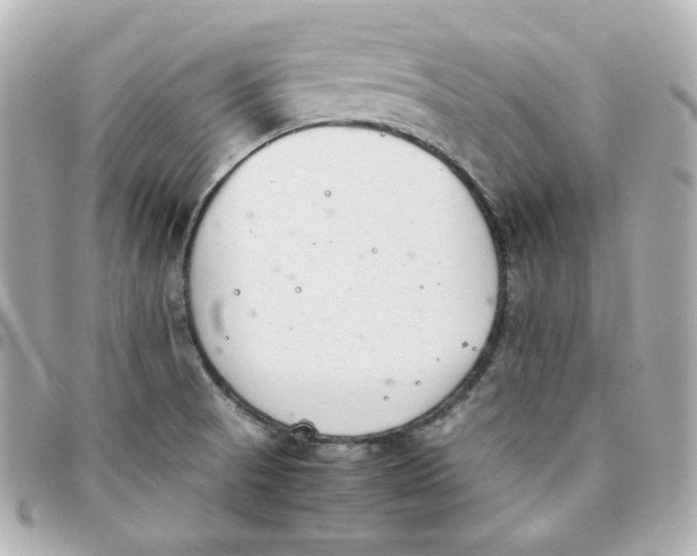 X0000095891521200802011055