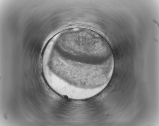 X0000095891522200802011055