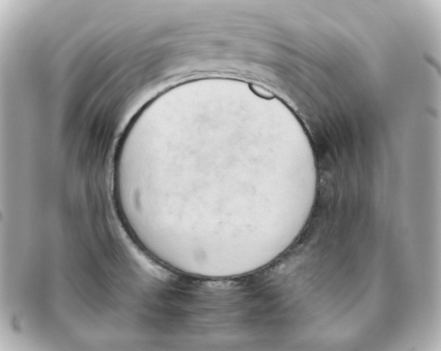 X0000095891523200802011055