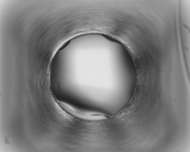 X0000095891524200802011055