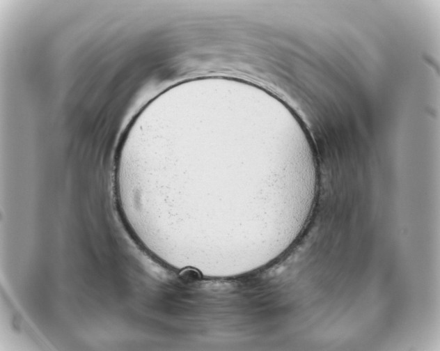 X0000095891525200802011055