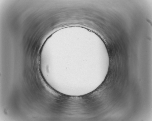 X0000095891526200802011055