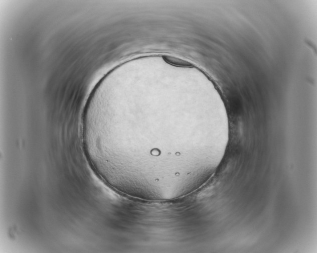 X0000095891527200802011055