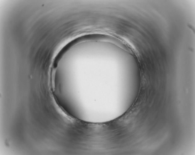 X0000095891528200802011055