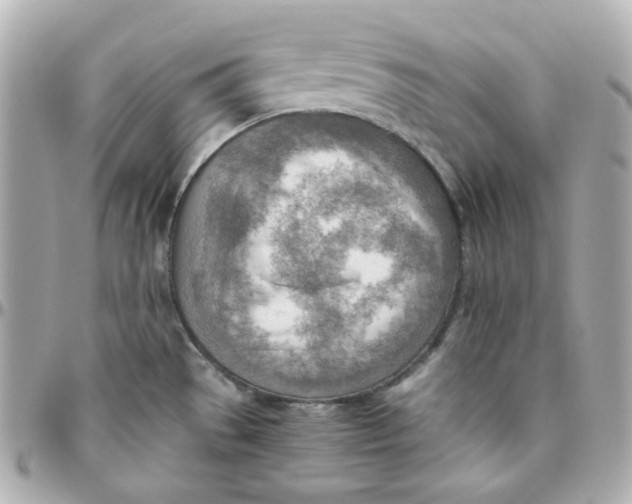 X0000095891529200802011055