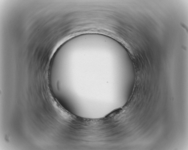 X0000095891530200802011055