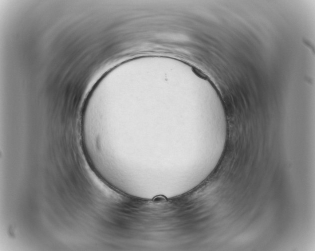 X0000095891531200802011055