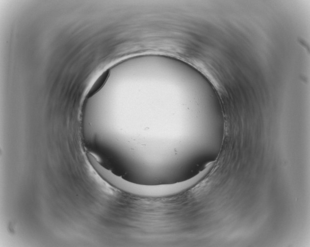 X0000095891532200802011055