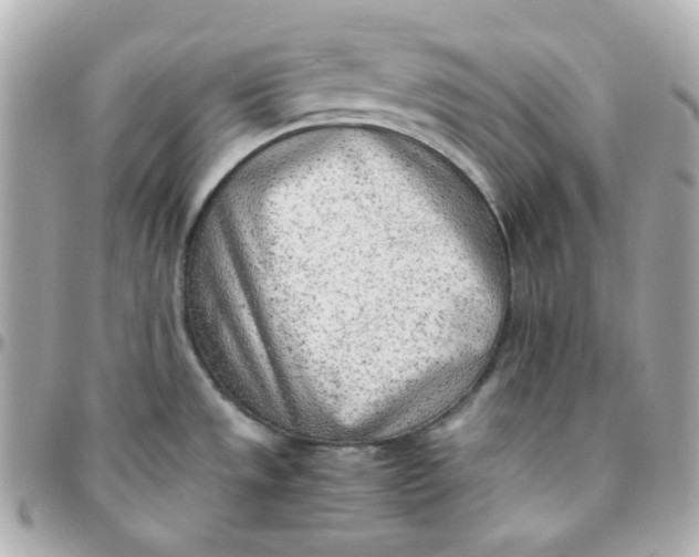 X0000095891533200802011055