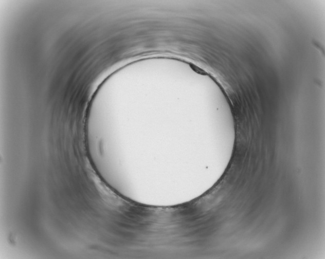 X0000095891534200802011055