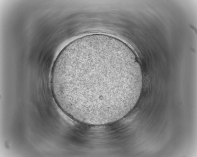 X0000095891535200802011055