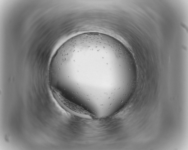 X0000095891536200802011055