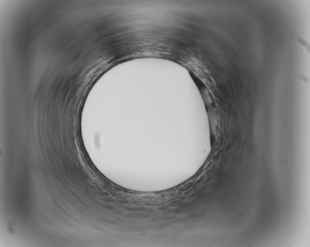 X0000095890001200802081128
