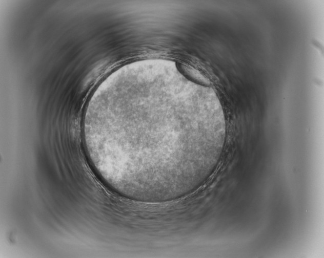 X0000095890002200802081128
