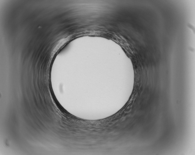 X0000095890003200802081128
