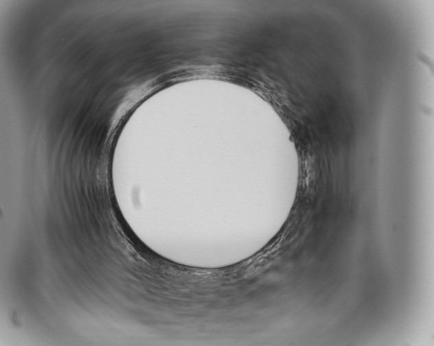 X0000095890004200802081128
