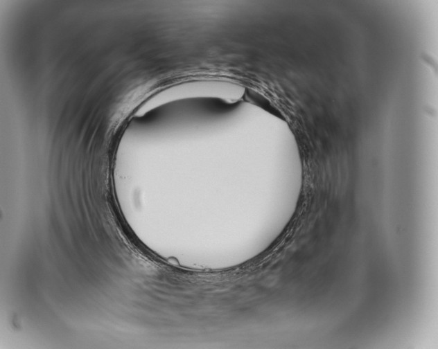 X0000095890005200802081128