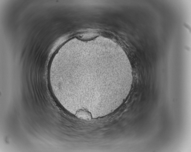 X0000095890006200802081128