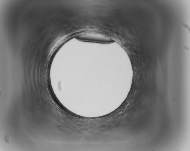X0000095890007200802081128