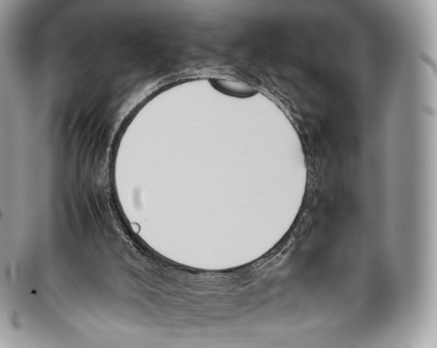 X0000095890008200802081128