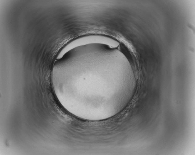 X0000095890009200802081128