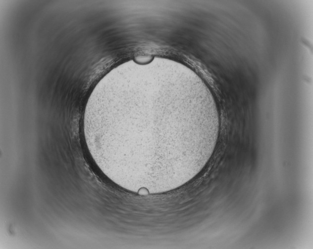 X0000095890010200802081128