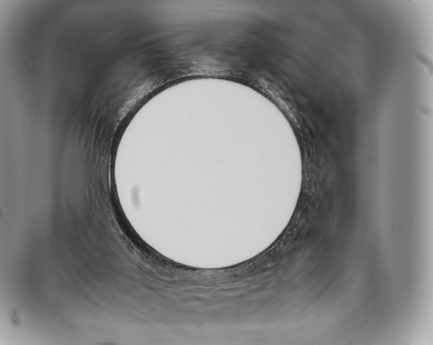 X0000095890011200802081128