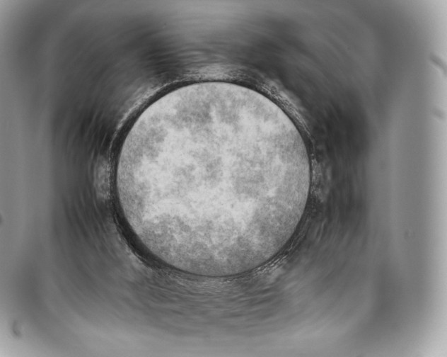 X0000095890012200802081128
